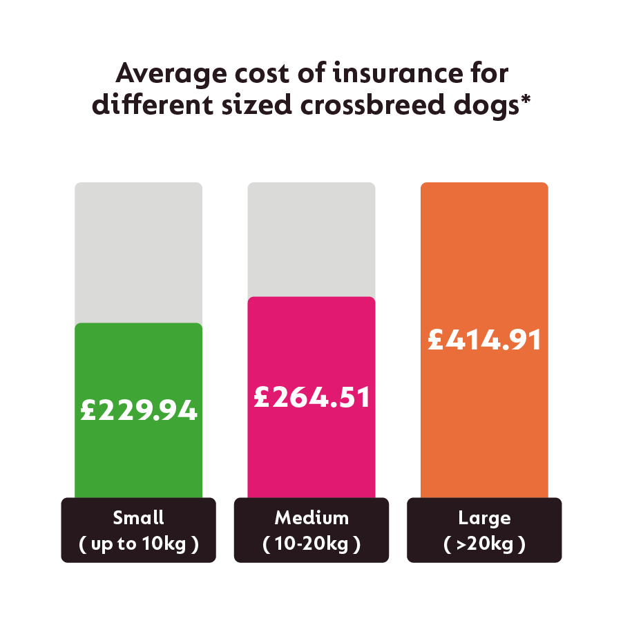 How Dog Breeds Affect Pet Insurance Prices